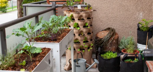 The ultimate urban gardening guide for beginners