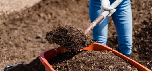 Advanced and community composting: Green revolution for urban gardeners