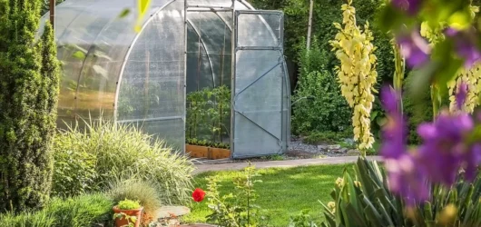 Creating a permaculture and regenerative garden: A Guide to a sustainable ecosystem at home