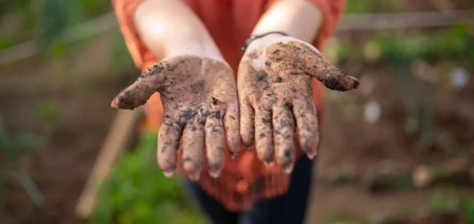 No more dirty nails : A guide to soil-free gardening for nail lovers