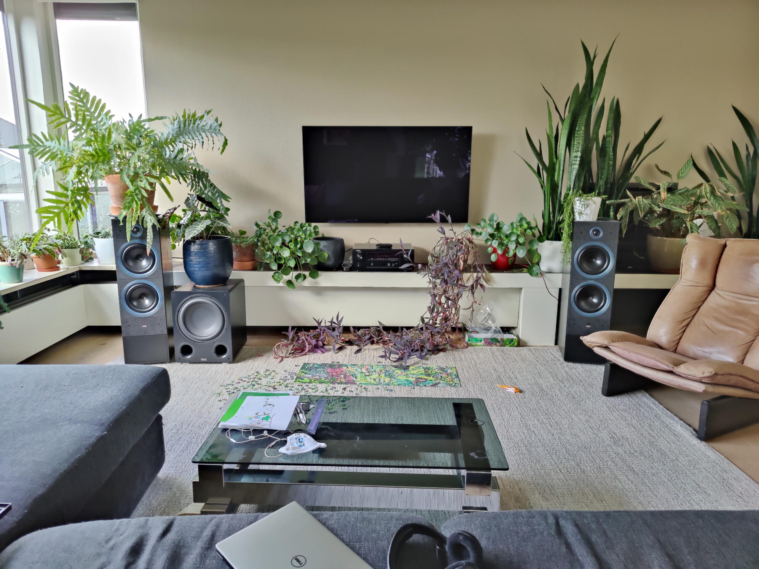 Indoor plants next to the TV's stereo system in the living room.