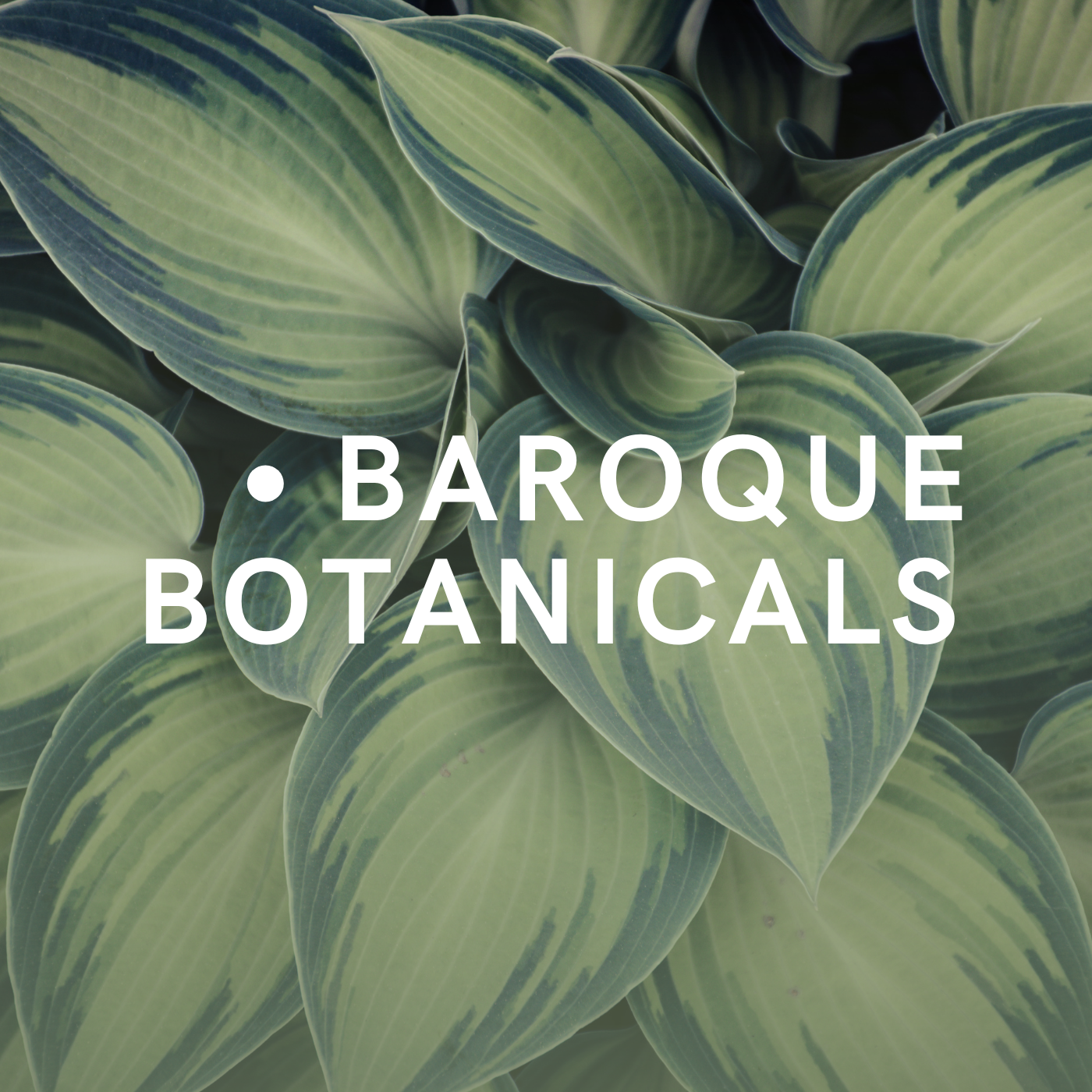 Baroque botanicals playlist for plants on shopify