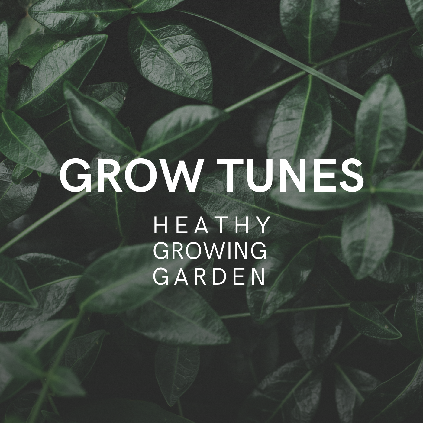 Grow tunes - healthy growing garden playlist on shopify